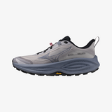 MIZUNO Wave Neo Daichi 10 (Dapple Gray) Womens